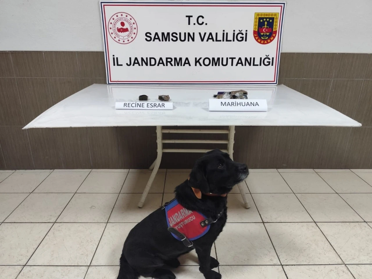 Samsun’da uyuşturucu operasyonu: 1 gözaltı
