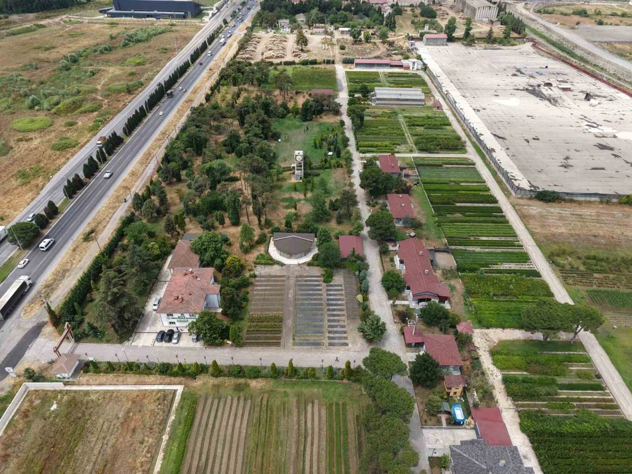 Samsun&rsquo;dan &rsquo;Yeşil Vatan&rsquo;a yılda 3 milyon fidan
