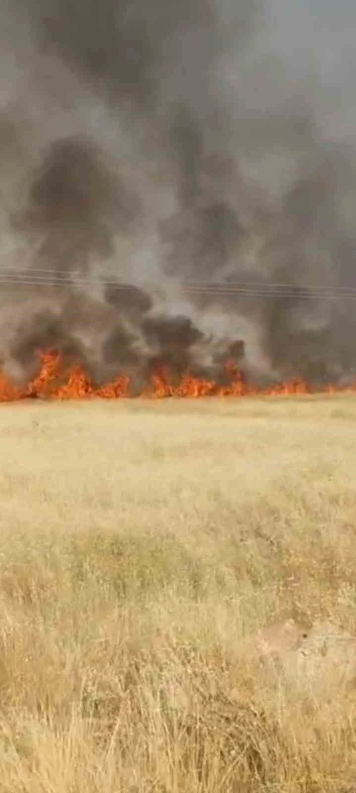 Şanlıurfa&rsquo;da 45 d&ouml;n&uuml;m buğday ekili alan yandı
