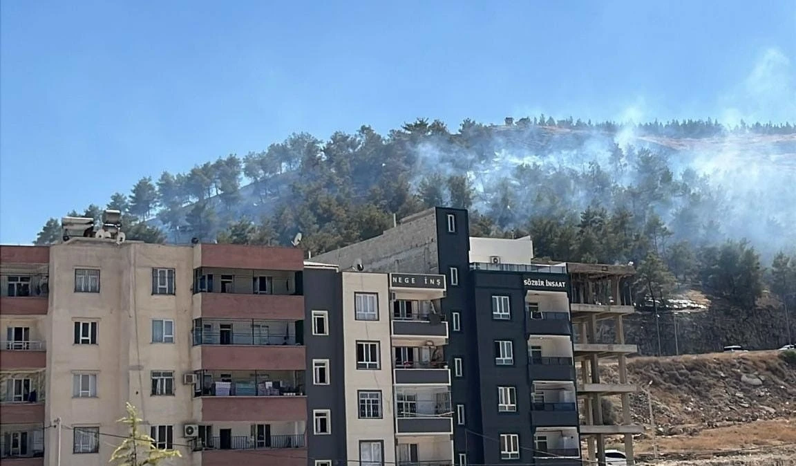 Şanlıurfa’da ağaçlık alanda çıkan yangın söndürüldü
