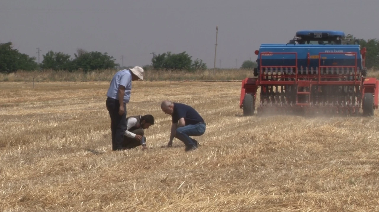 Şanlıurfa&rsquo;da &rsquo;anız yakmadan &uuml;retim&rsquo; modeli yaygınlaşıyor: Toprak korunuyor &ccedil;ift&ccedil;i kazanıyor
