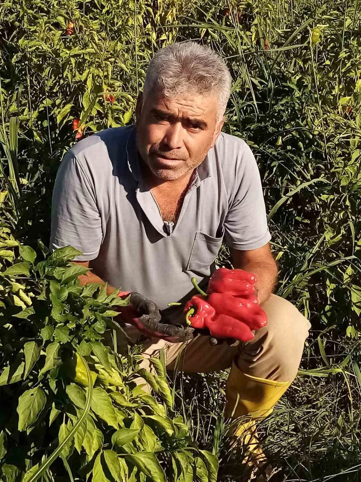 Şanlıurfa&rsquo;da asans&ouml;r faciası: Boşluğa d&uuml;şen servis şof&ouml;r&uuml; hayatını kaybetti
