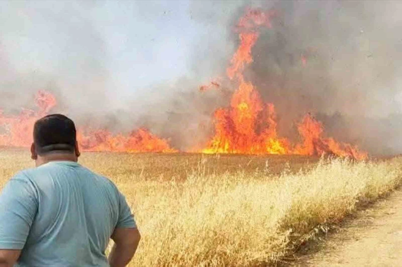 Şanlıurfa&rsquo;da buğday tarlasında korkutan yangın
