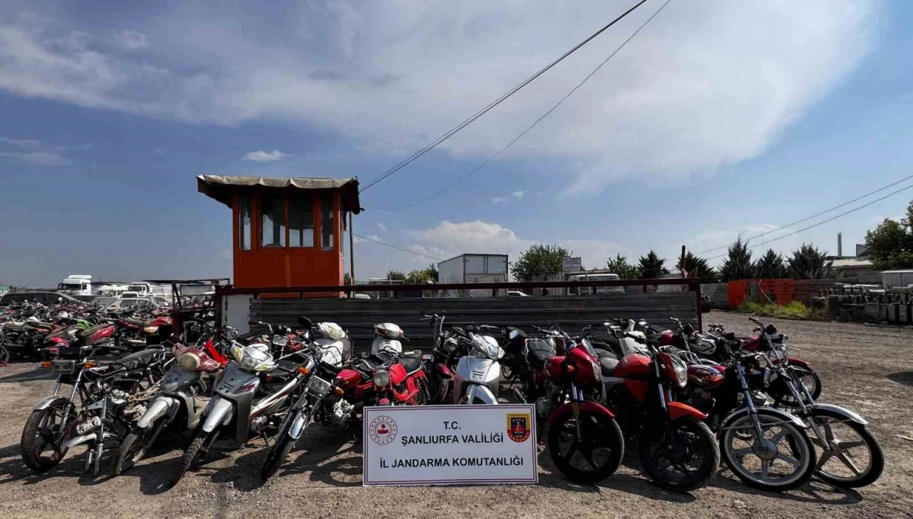 Şanlıurfa’da motosiklet hırsızlığı operasyonu: 7 gözaltı
