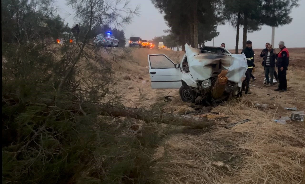 Şanlıurfa’da otomobil ağaca çarptı: 4 yaralı