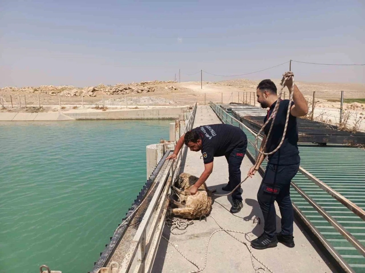 Şanlıurfa’da sulama kanalına düşen köpeği itfaiye kurtardı
