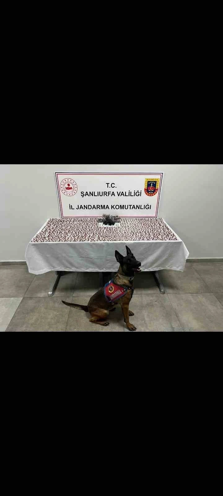 Şanlıurfa’da uyuşturucu operasyonu: 2 gözaltı
