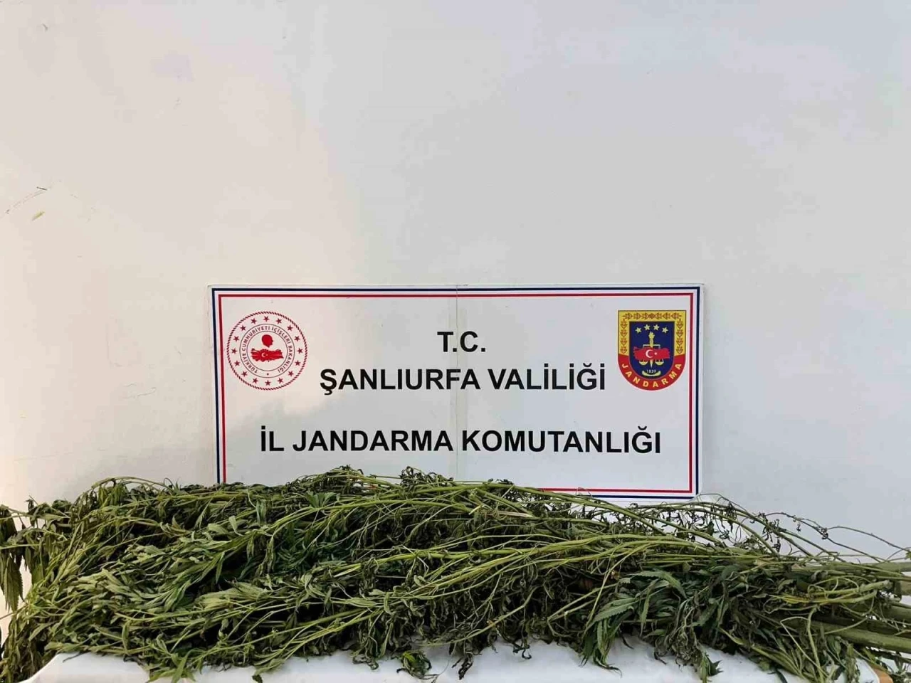Şanlıurfa’da uyuşturucu operasyonu: 42 gözaltı
