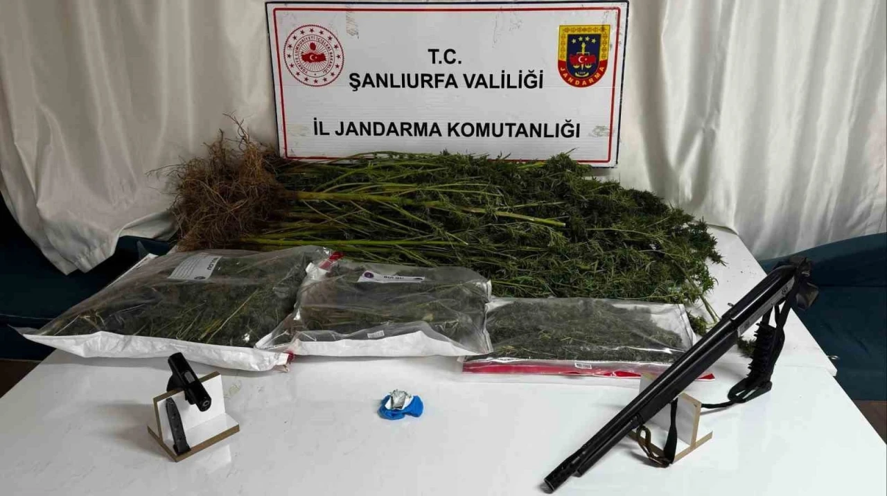 Şanlıurfa’da uyuşturucu operasyonunda 1 gözaltı