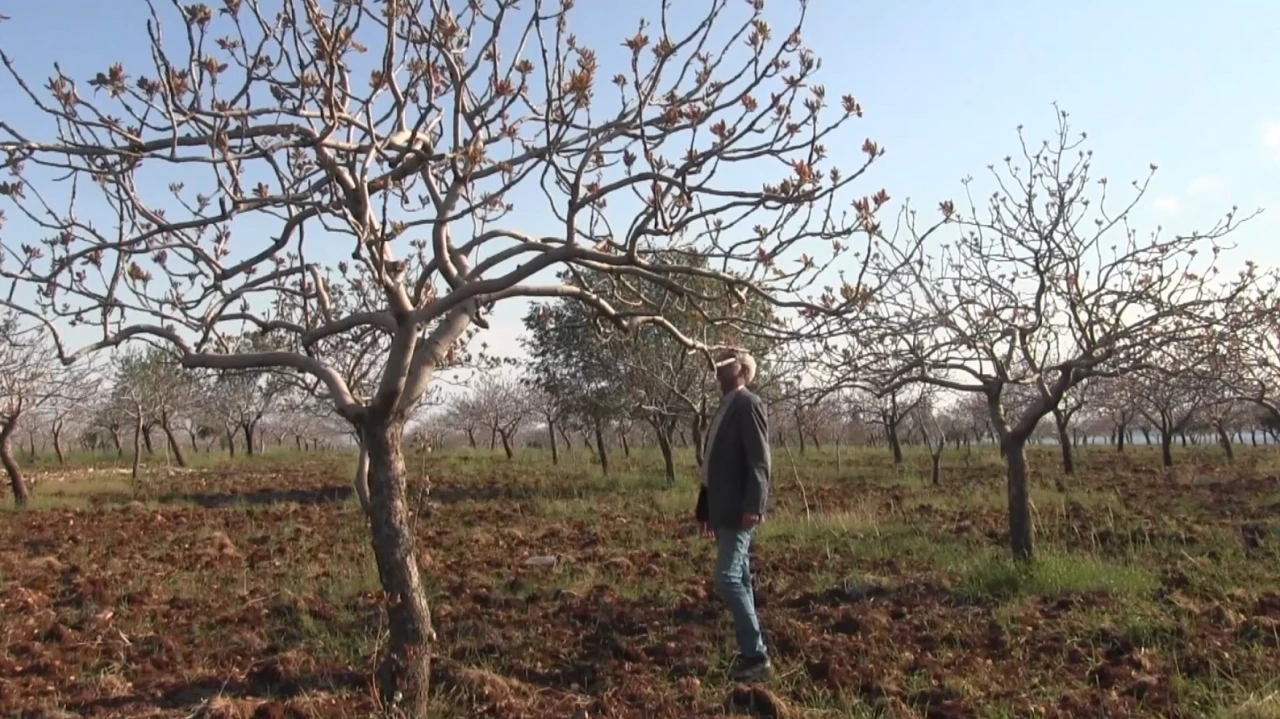 Şanlıurfa&rsquo;da yoğun kar yağışları &ccedil;ift&ccedil;inin y&uuml;z&uuml;n&uuml; g&uuml;ld&uuml;rd&uuml;
