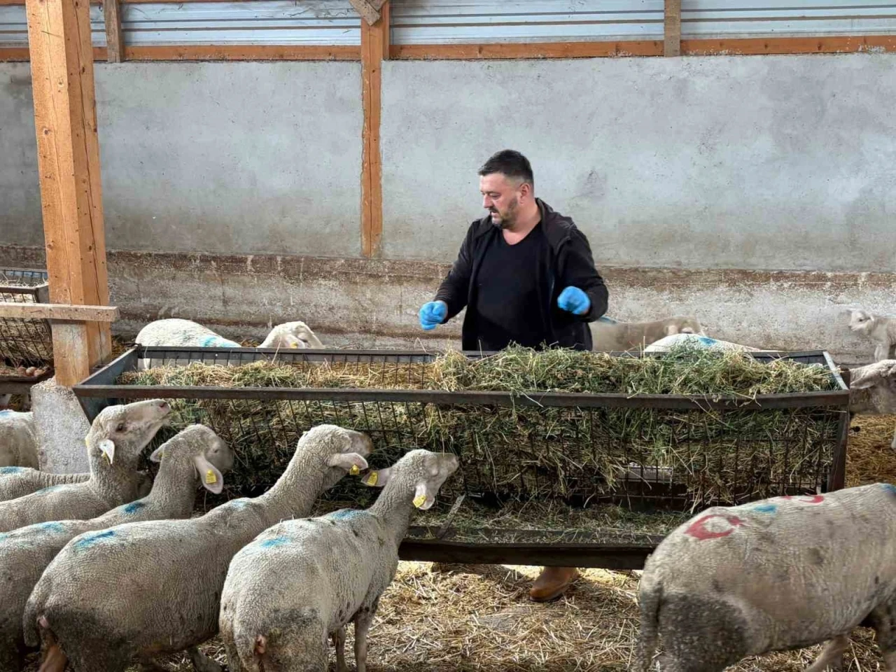 Şap mağduru üreticiler destek bekliyor
