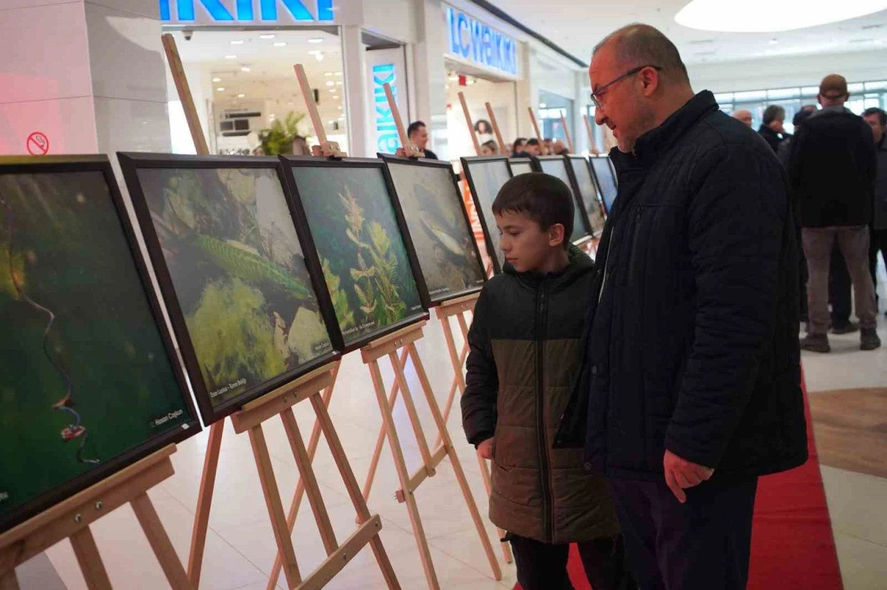 Sapanca G&ouml;l&uuml; fotoğrafları Gazze i&ccedil;in umuda d&ouml;n&uuml;şt&uuml;: Geliri yetim ve &ouml;ks&uuml;z &ccedil;ocuklara bağışlanacak
