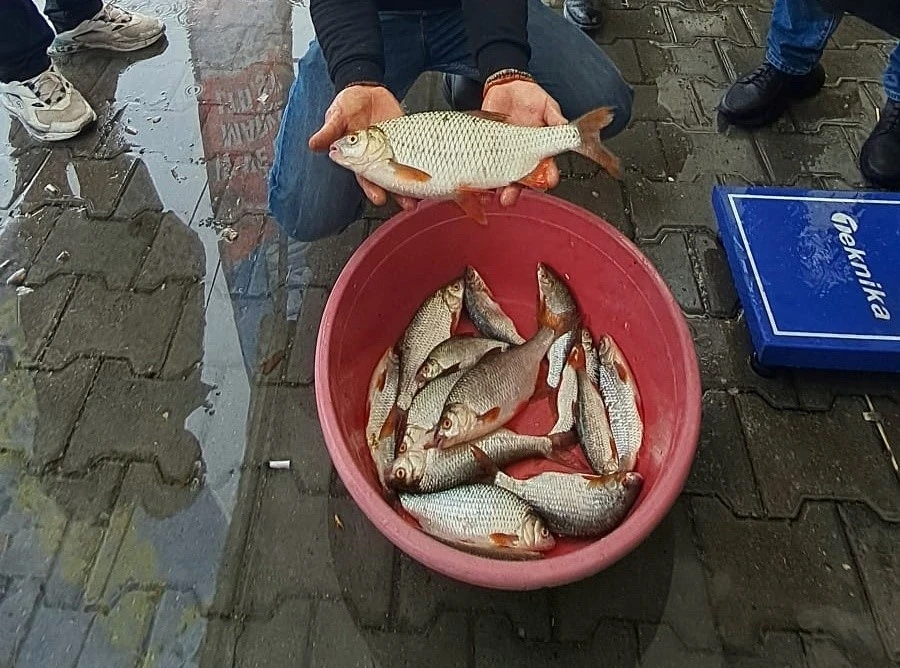 Sapanca Gölü’nde kızılkanat heyecanı: Amatör balıkçılar kıyasıya yarıştı
