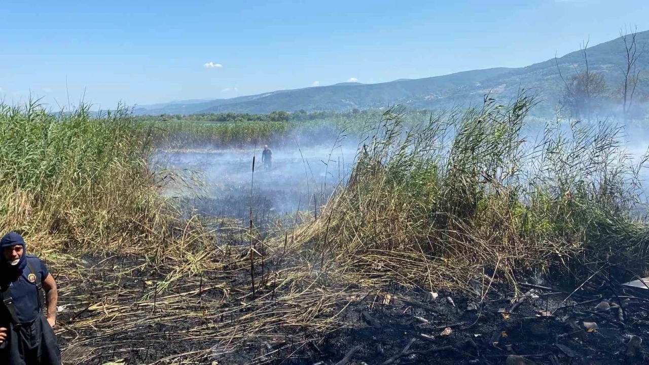 Sapanca Gölü’ndeki sazlık alanda yangın çıktı
