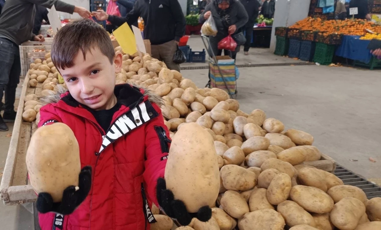 Sarıg&ouml;l pazarında dev patatesler ilgi odağı oldu
