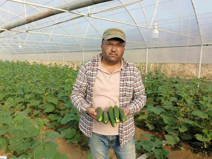 Sarıg&ouml;ll&uuml; girişimci serada yılda iki &uuml;r&uuml;n alıyor
