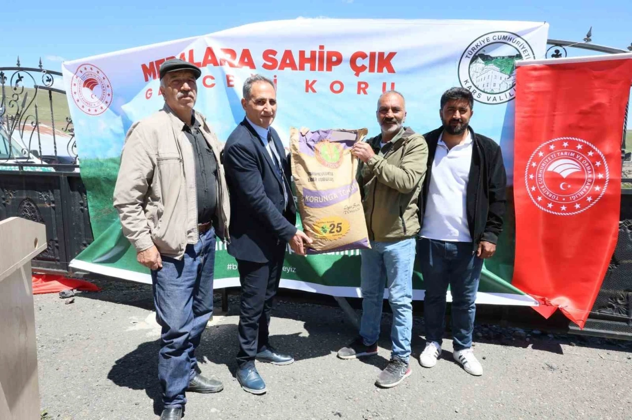 Sarıkamış’ta korunga tohumu dağıtıldı

