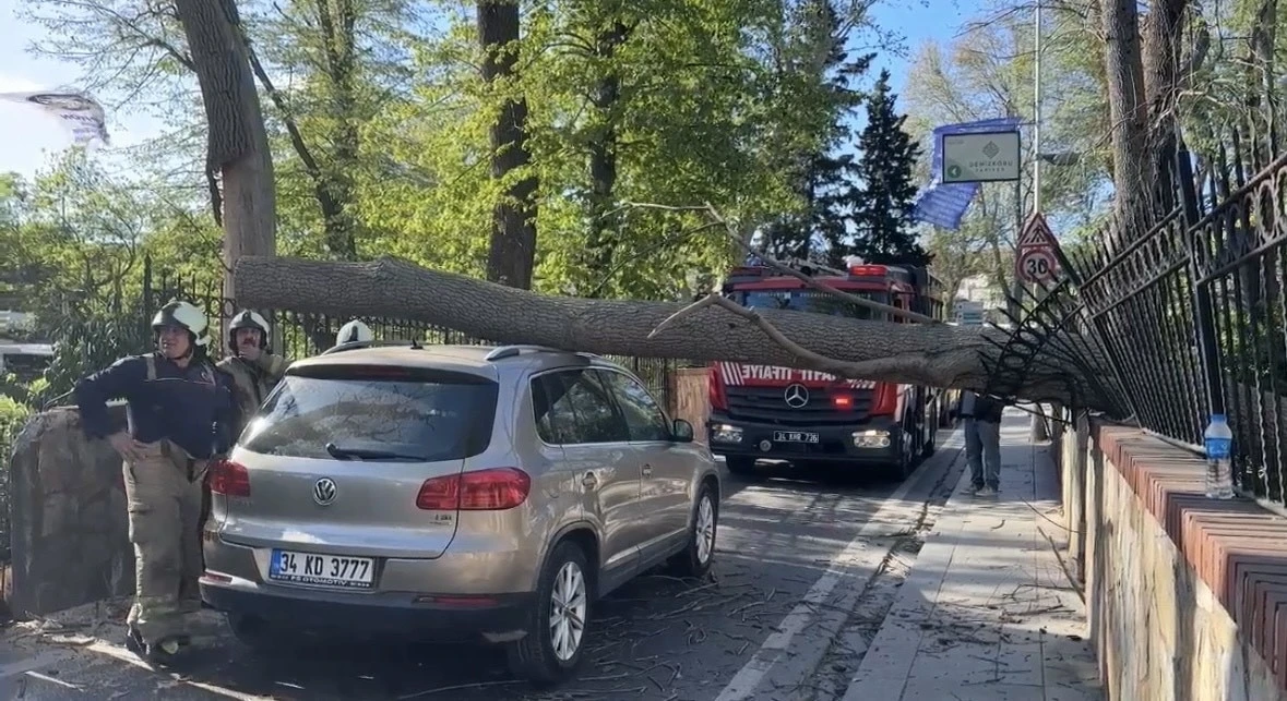 Sarıyer’de şiddetli rüzgarda ağaç otomobilin üzerine devrildi
