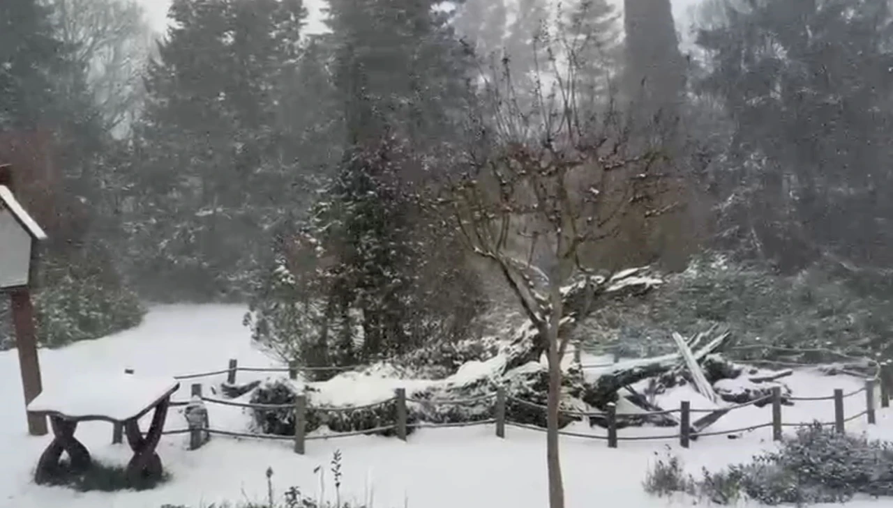 Sarıyer&rsquo;in y&uuml;ksek kesimleri karla kaplandı
