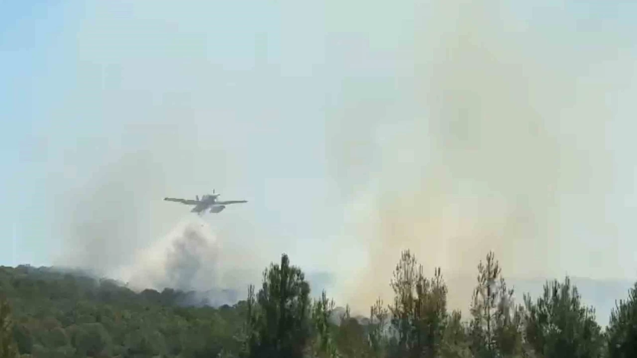 Şarköy’de ormanlık alanda çıkan yangına karadan ve havadan müdahale ediliyor
