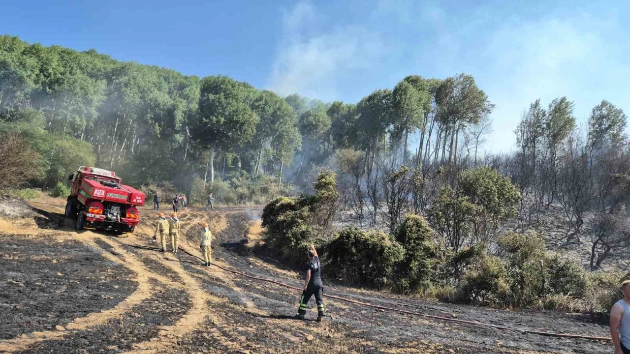 Şarköy’de tarlada çıkan yangın makilik alana sıçradı
