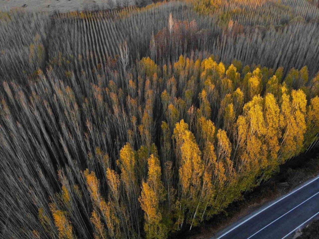 Savur, doğal güzelliğiyle ziyaretçileri mest ediyor
