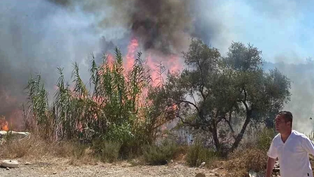 Bodrum'da Sazlık Yangını Hızla Söndürüldü