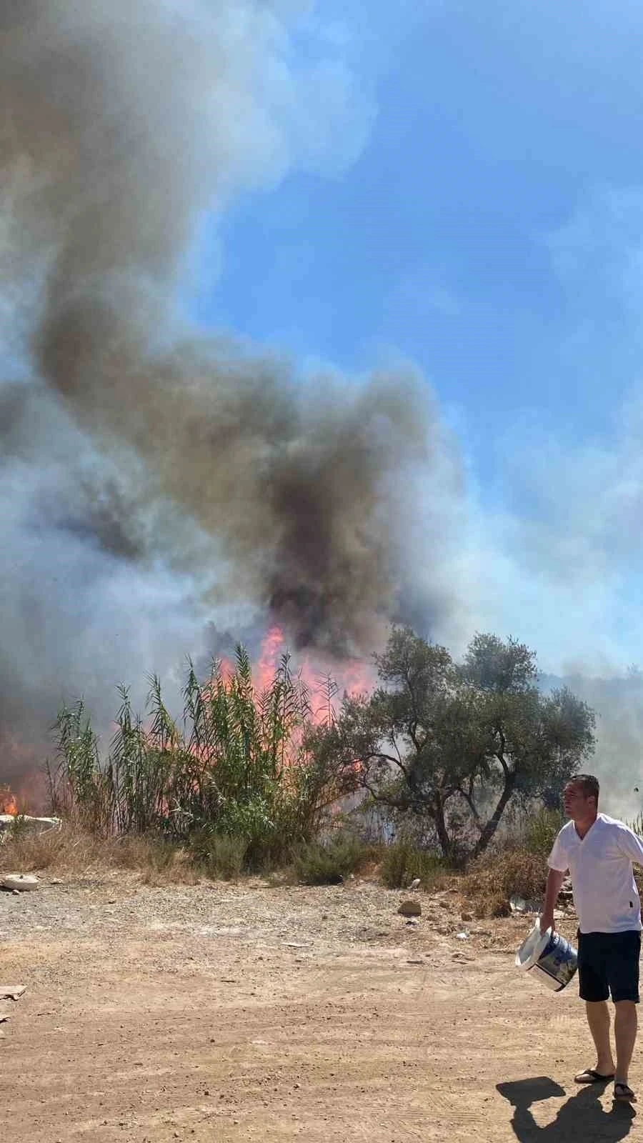Sazlık alanda çıkan yangın büyümeden söndürüldü
