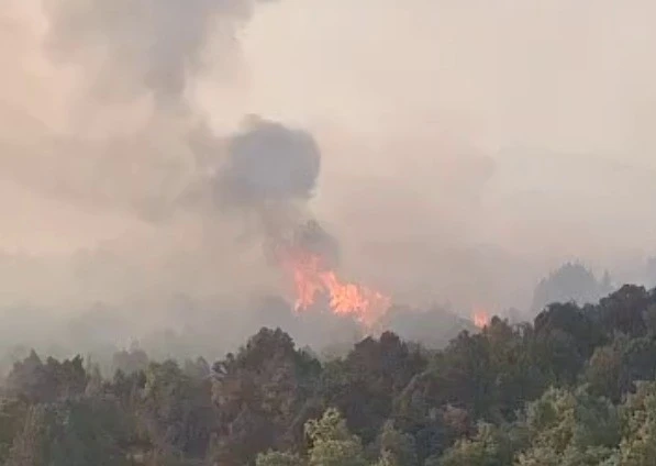 Sazlık alanda çıkan yangın ormana sıçradı
