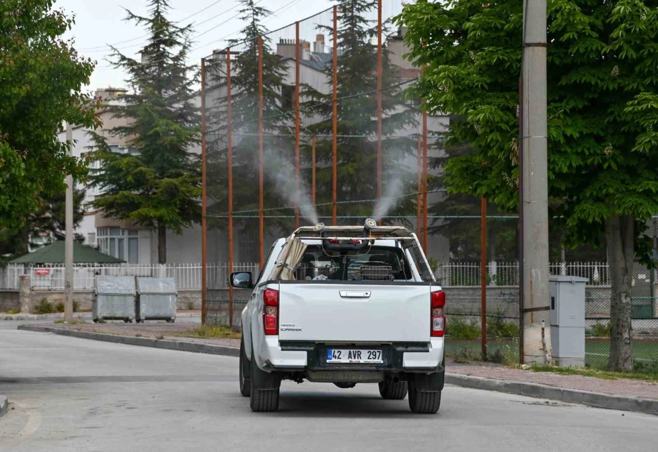 Selçuklu’da ilaçlama çalışmalar başladı
