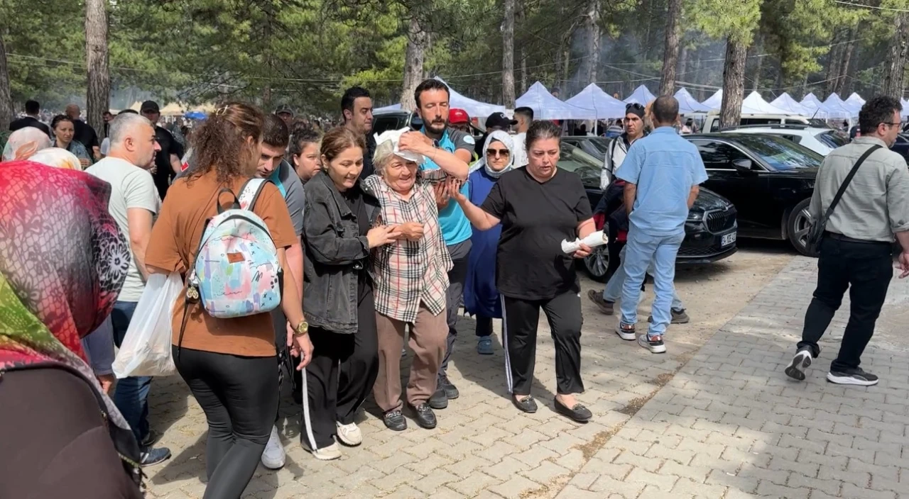 Şenlikte ağa&ccedil;tan d&uuml;şen dal yaşlı kadını yaraladı
