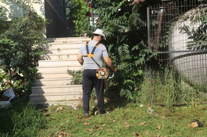 Serdivan&rsquo;da yeşil alanlar daha bakımlı hale geliyor
