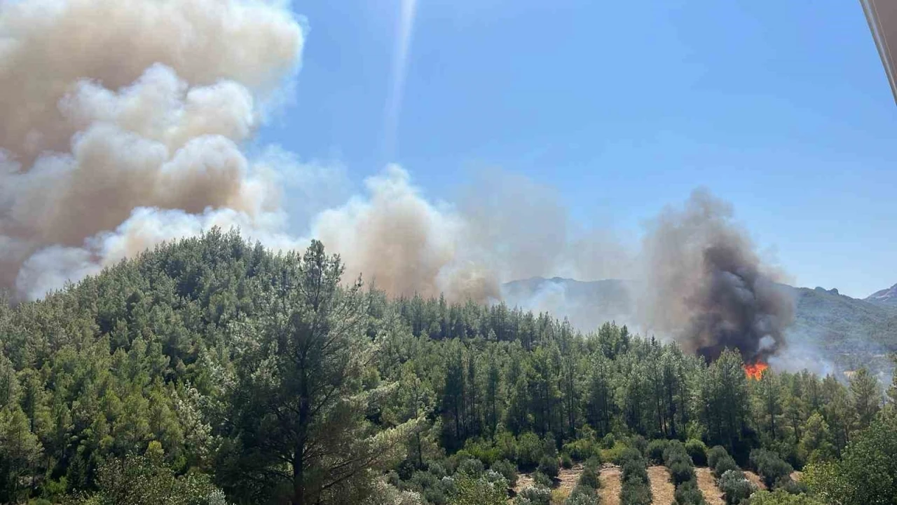 ANTALYA'NIN SERİK İLÇESİNDE ORMAN YANGINI 