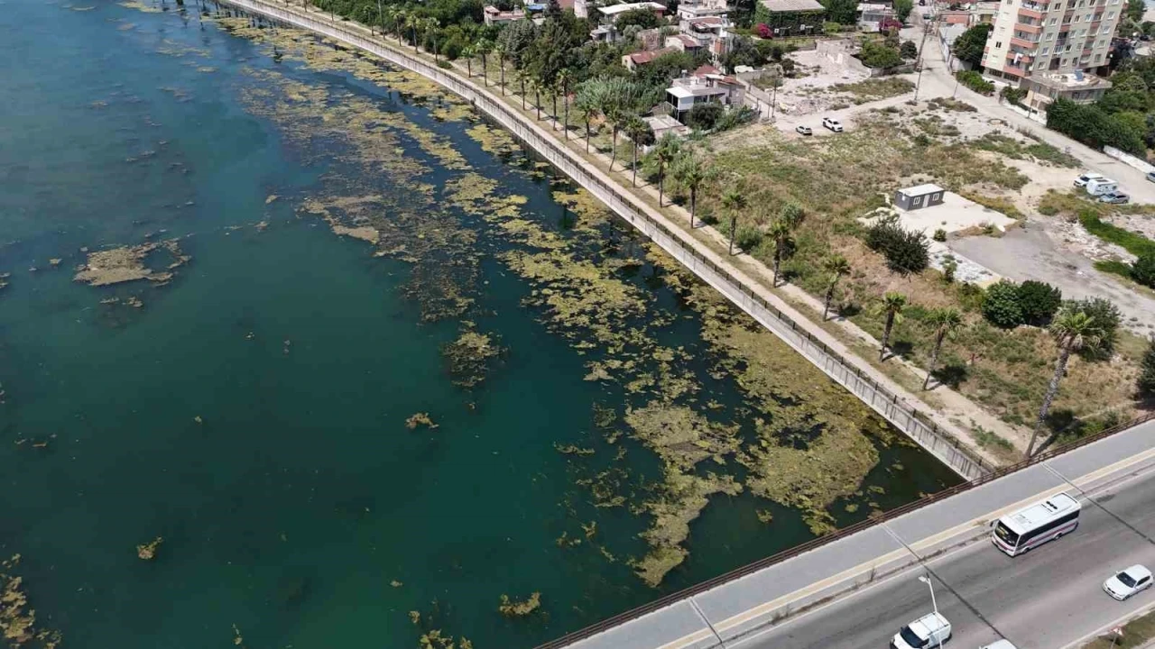 Seyhan Nehri kirliliğe teslim oldu, g&ouml;n&uuml;ll&uuml; gen&ccedil; sandalla temizliğe &ccedil;ıktı
