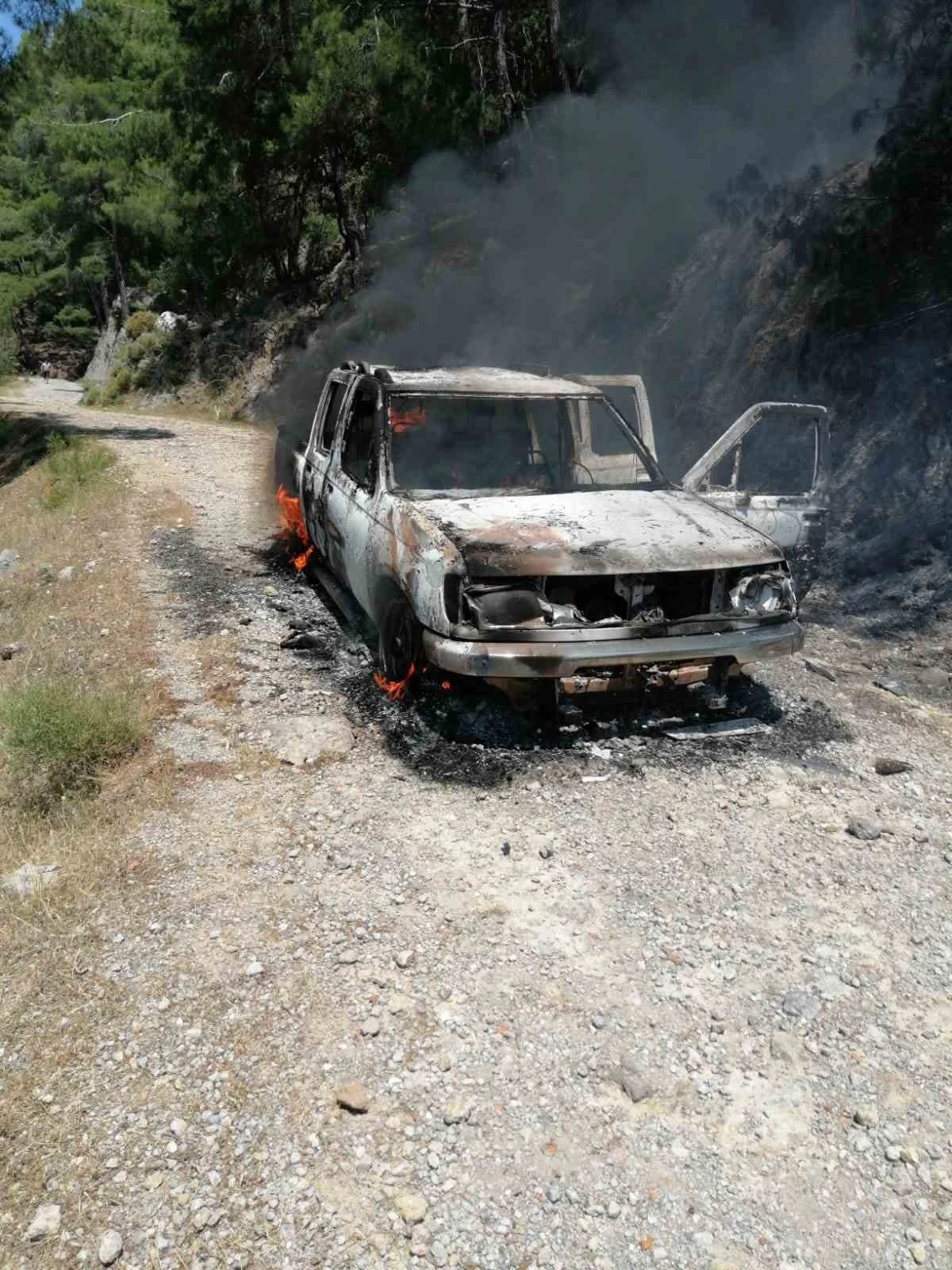 Seyir halindeki araçta çıkan yangın, ormanlık alana sıçradı