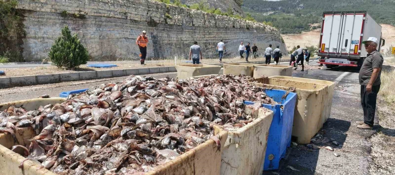 Seyir halindeki tırın dorsesi patladı, 15 ton balık atığı yola sa&ccedil;ıldı
