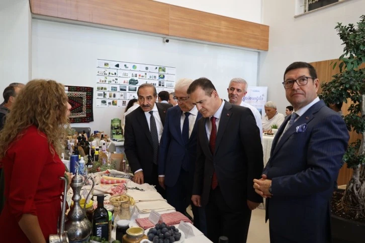 Sezonun ilk çam balı 61 bin TL’ye satıldı