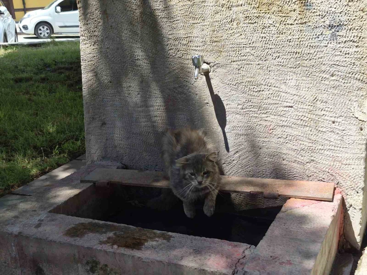 Sıcaktan bunalan sokak kedisi tarihi &ccedil;eşmenin altında serinlemeye &ccedil;alıştı

