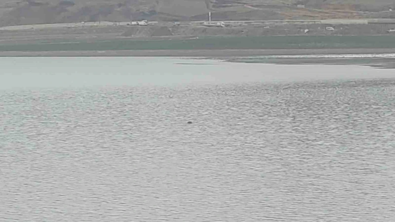 Sıhke G&ouml;leti&rsquo;ne giren inek telef oldu
