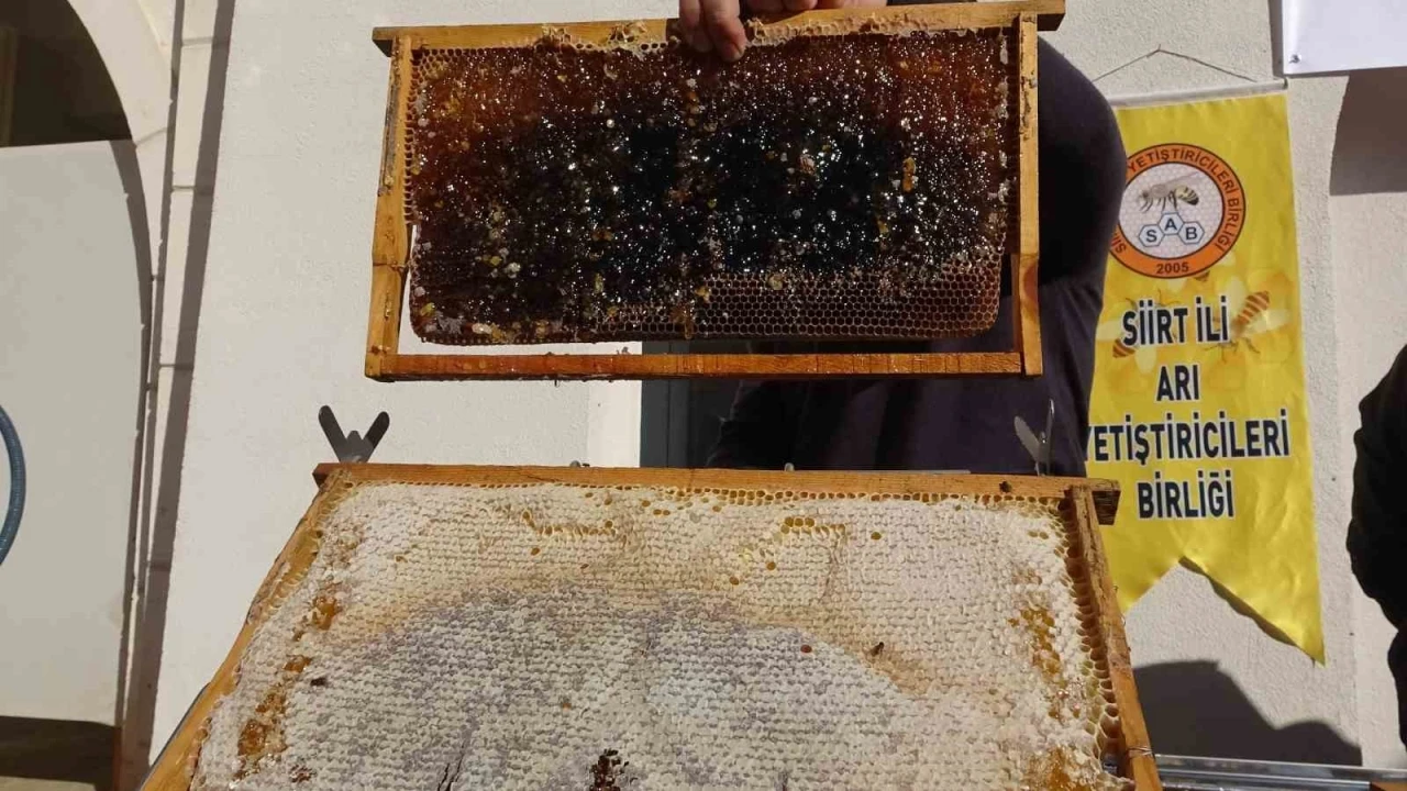 Siirt’te arıcılara 41 milyon 436 bin liralık destek
