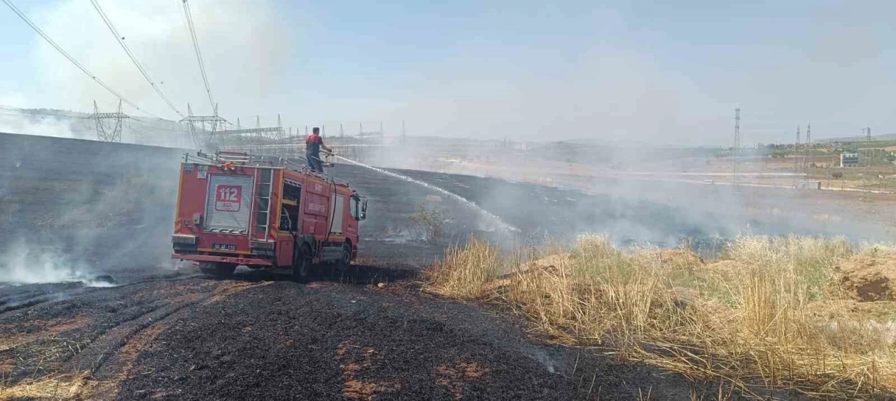 Siirt’te çıkan yangında ekili alanlar zarar gördü

