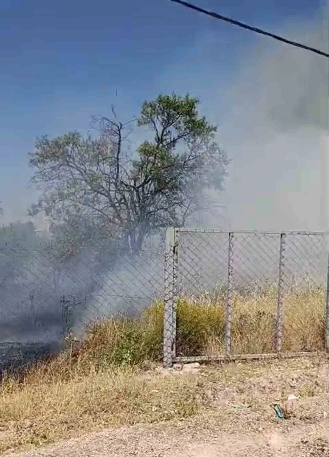 Siirt&rsquo;te evin bah&ccedil;esinde &ccedil;ıkan yangında meyve ağa&ccedil;ları k&uuml;l oldu
