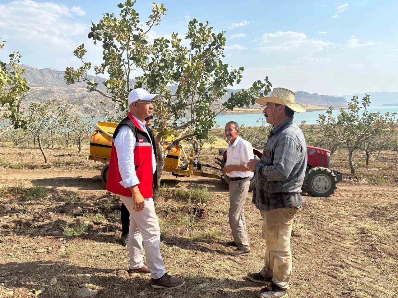 Siirt’te fıstık bahçelerinde aşırı sıcaklık alarmı
