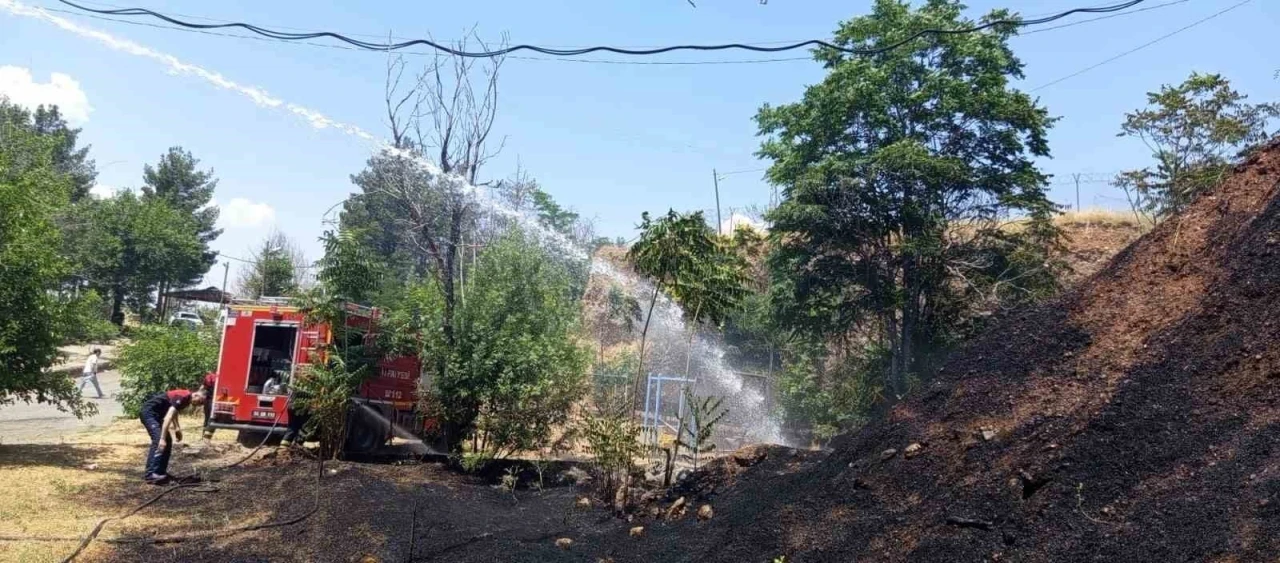 Siirt&rsquo;te iş makinesinden &ccedil;ıkan kıvılcımı otluk alanı yaktı
