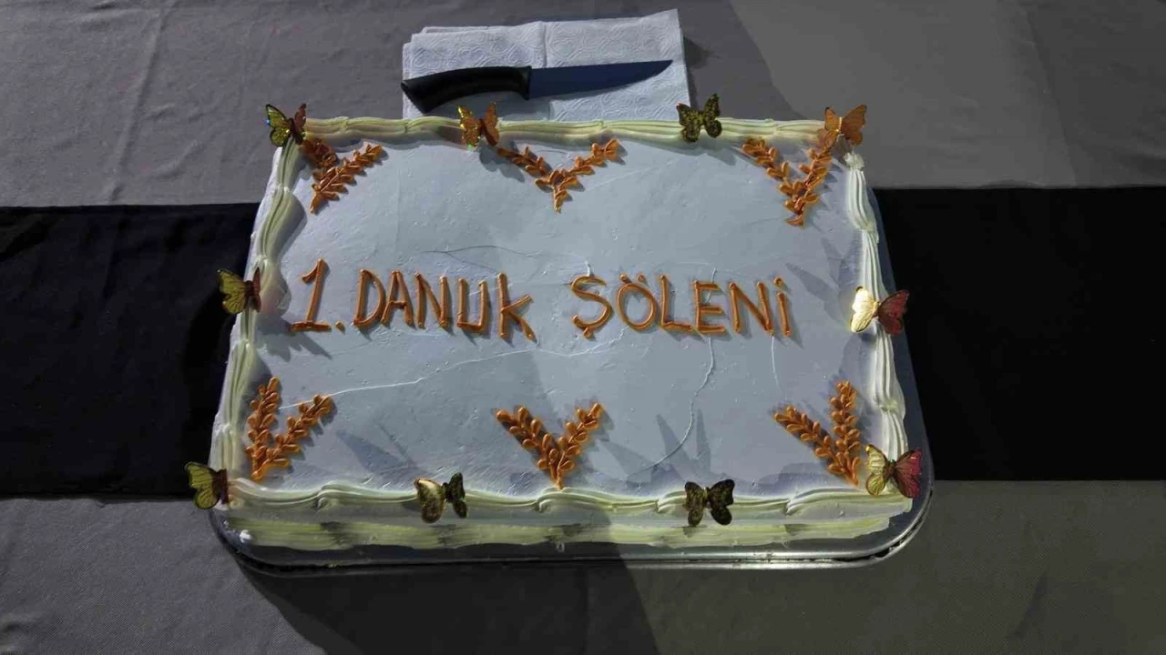 Siirt’te koruma altındaki çocuklarla &quot;Danuk Şöleni&quot;
