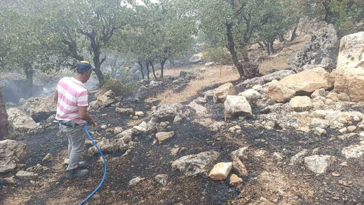 Siirt’te orman yangını büyümeden söndürüldü
