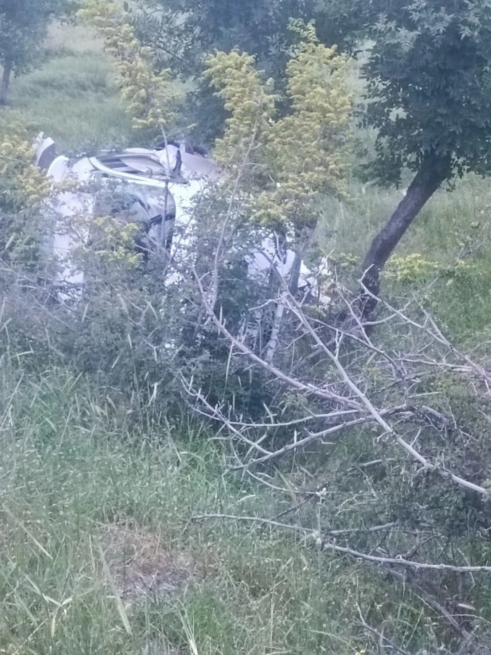 Siirt’te otomobil devrildi: 1  yaralı
