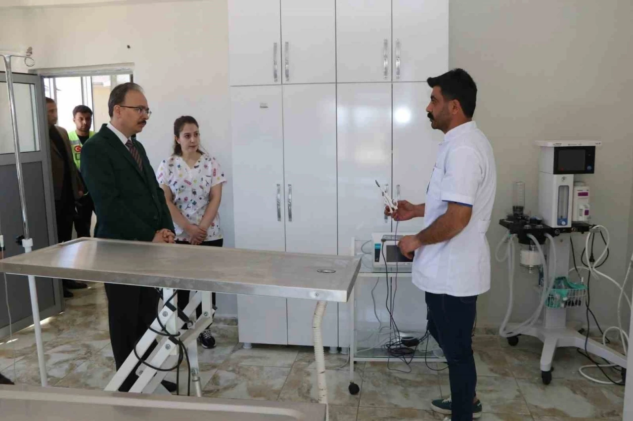 Siirt’te sahipsiz hayvanlar bu merkezde güvenli şekilde yaşamlarını sürdürüyor

