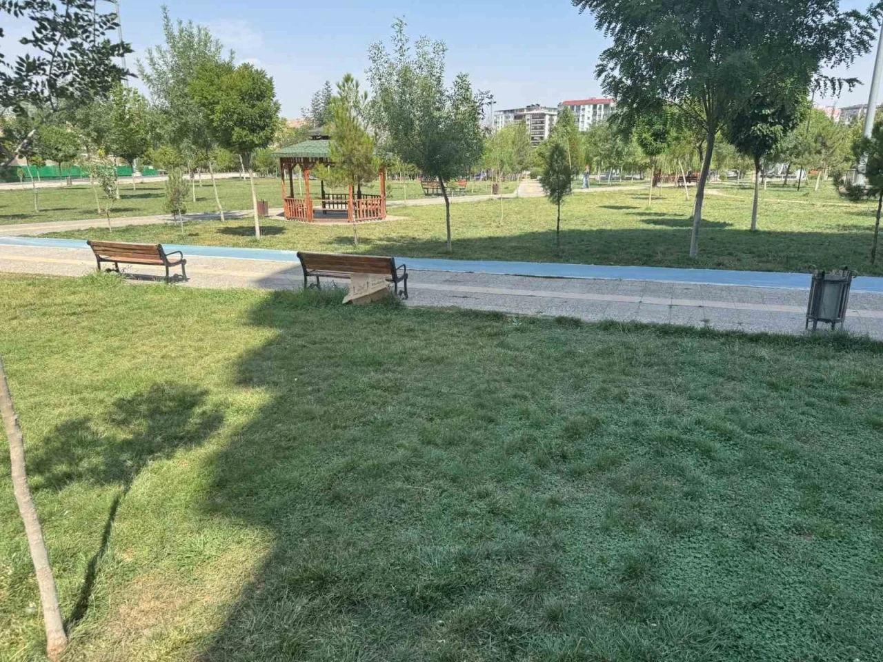 Siirt’te sıcaktan fenalaşan kadın bayıldı
