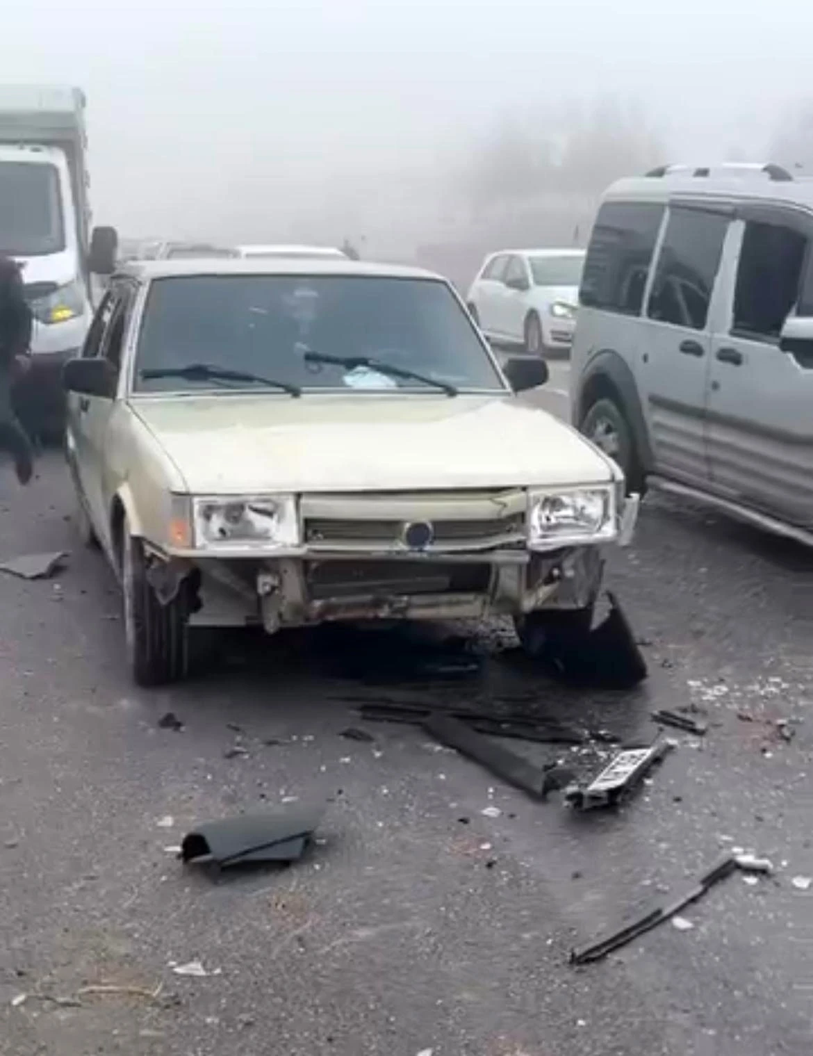 Siirt’te sis kazaya neden oldu: 3 koyun telef oldu
